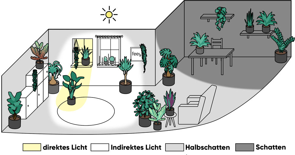 Lichtbereiche: Direktes Licht heisst in unmittelbarer Nähe von Fenstern, indirektes Licht an deren Rand, Schatten in Räumen oder Ecken ohne Fenster