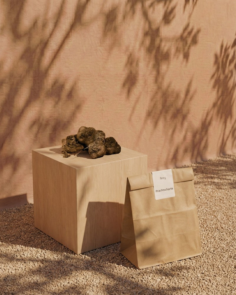 Prachtscharte-Knollen auf einem Holzwürfel neben einer braunen feey-Papiertüte im mediterranen Licht