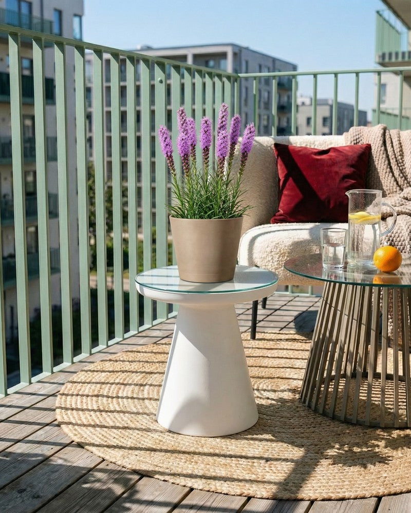 Blühende violette Prachtscharte im Übertopf auf einem Beistelltisch auf dem Balkon mit Limonade und Sofa