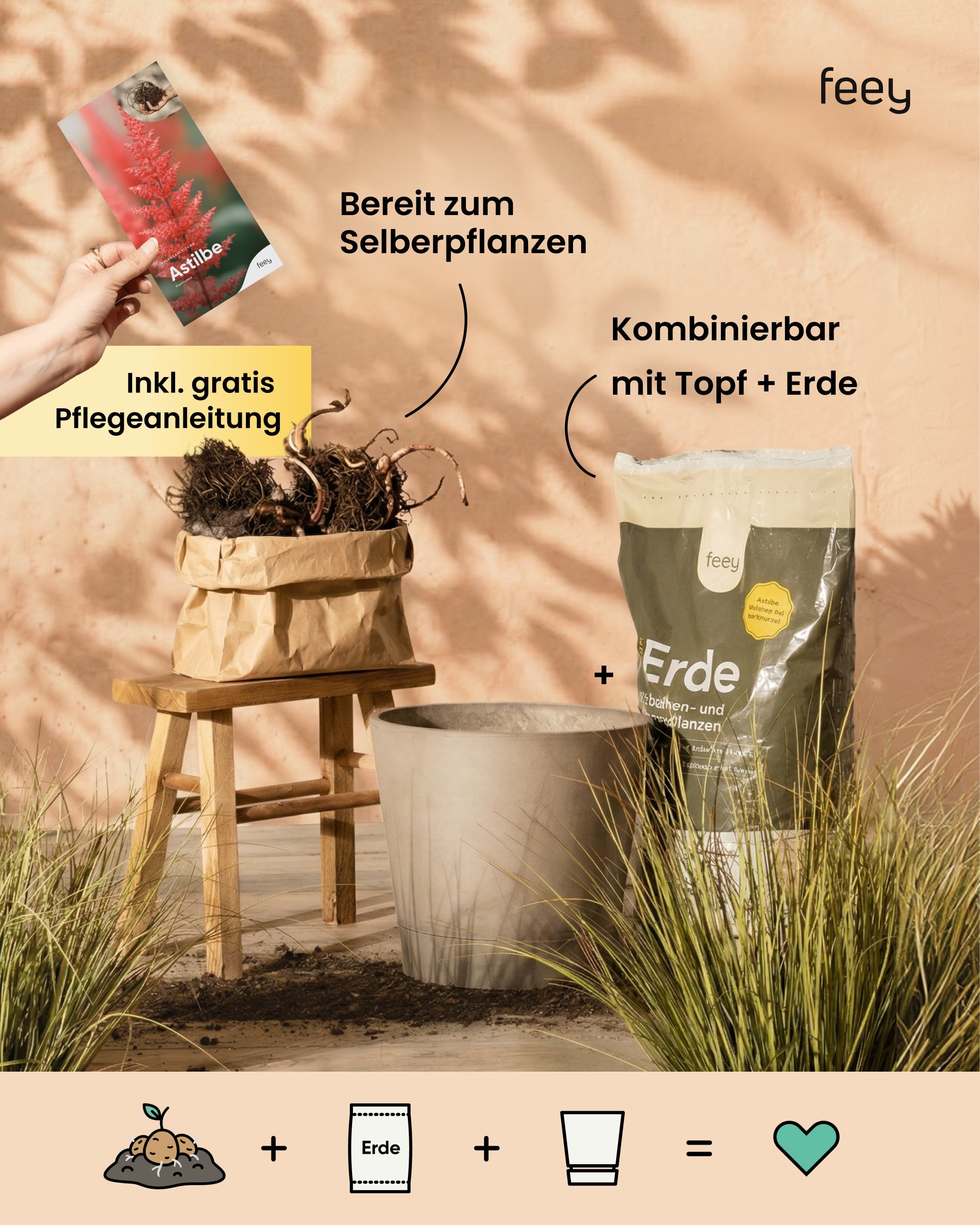 Knollen in Papiertüte auf Holzhocker mit Pflegeanleitung, feey Knollenerde und Übertopf zum Kombinieren
