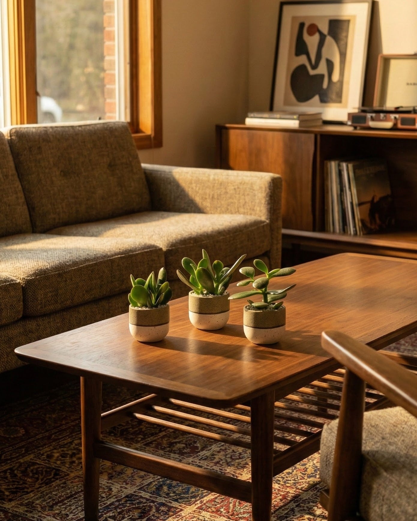 Ein sonnendurchflutetes Wohnzimmer mit einem hölzernen Couchtisch, auf dem eine Baby Hoya (3er-Set) - feey steht, daneben ein graues Sofa, ein hölzernes Sideboard mit Schallplatten, gerahmte Kunst an der Wand und ein gemusterter Teppich auf dem Boden.