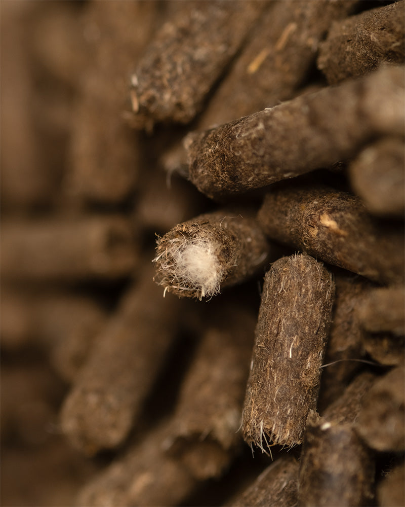 Nahaufnahme eines Haufens kleiner, brauner, zylindrischer Biodüngerpellets, die möglicherweise Tierfutter, Brennstoffpellets oder Bodenverbesserungsmitteln ähneln. Die Oberflächenstruktur erscheint rau und faserig, wobei am Ende eines Pellets einige weiße Fasern sichtbar sind – was möglicherweise auf Schafwolle hindeutet. Ideal für die Pflege von Zimmerpflanzen.