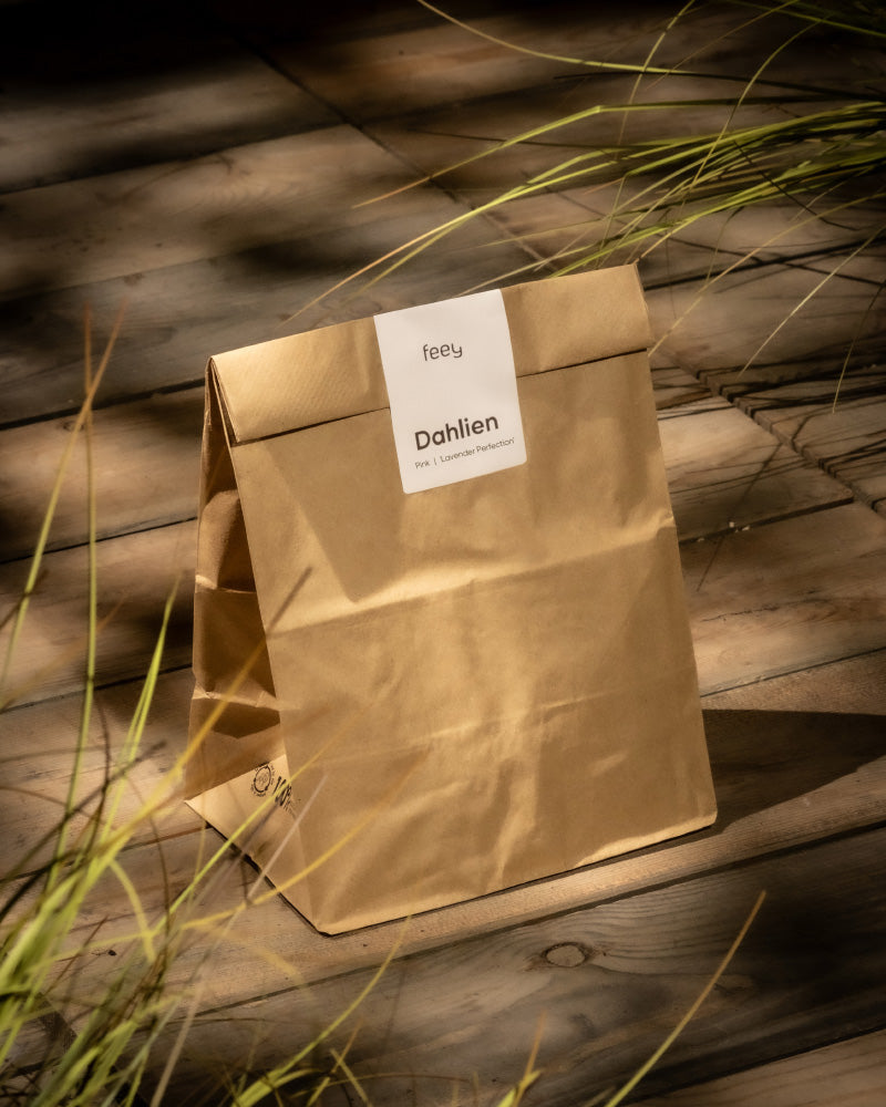 Eine Papiertüte mit der Aufschrift „Dahlien (pink)“ von „feey“ liegt auf einer Holzfläche, umgeben von zartem grünem Gras und leuchtenden Blumen. Die Szene ist warm beleuchtet und ruft eine natürliche Atmosphäre hervor.