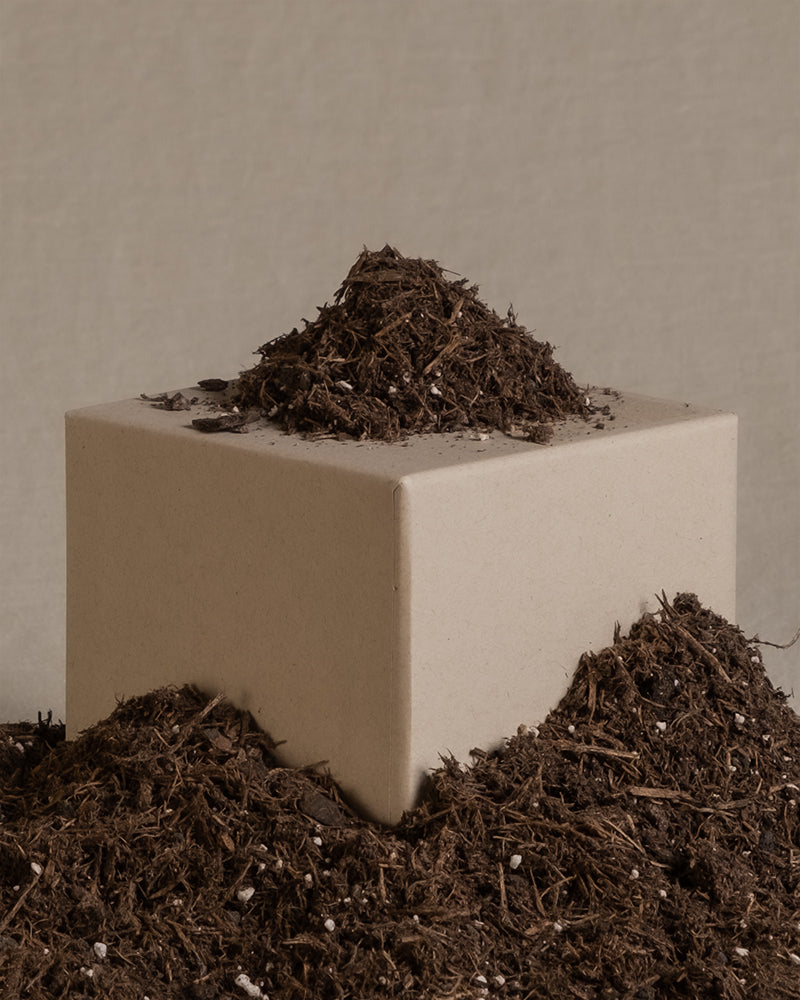 Ein beiger Würfel vor neutralem Hintergrund ist teilweise mit Erde für Zimmerpflanzen bedeckt. Diese dunkelbraune Erde häuft sich an der Basis an und bildet einen natürlichen Kontrast zur geometrischen Form – eine Szene, die an die Kunstfertigkeit von Pflanzendoktor Janko erinnert.