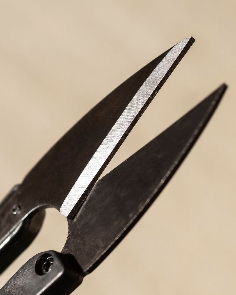 Nahaufnahme der scharfen Klingen der Kleinen Pflanzenschere vor einem verschwommenen beigen Hintergrund, ideal für präzises Schneiden von Stecklingen.