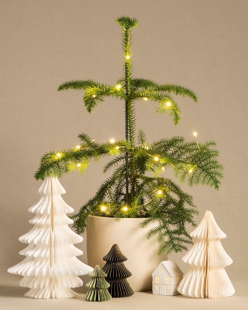 Ein kleiner Weihnachtsbaum im Topf, geschmückt mit einer funkelnden Lichterkette, ist umgeben von dekorativen Baumfiguren in Weiß, Grün und Beige sowie einer Miniaturhausdekoration. Der Hintergrund ist in einer schlichten, neutralen Farbe gehalten und unterstreicht das festliche Arrangement zum Weihnachtsdekorieren.
